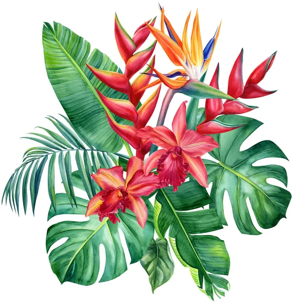 Tropikalny nadruk z egzotycznymi kwiatami i liśćmi palmy. Kwiatowy design pojedynczych elementów na białym tle — Zdjęcie stockowe