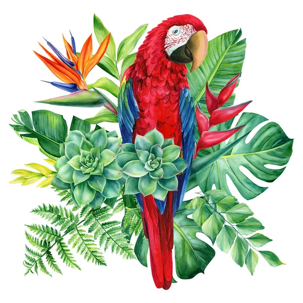 Червоний папуга, соковитий, папороть і пальмове листя на білому тлі, акварельна ілюстрація. Тропічні рослини — стокове фото