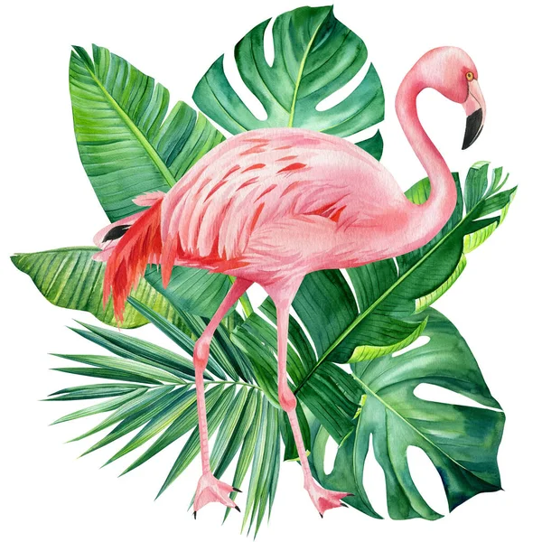 Tropické rostliny, Flamingo a zelené listy na bílém pozadí, akvarel ilustrace, design džungle — Stock fotografie