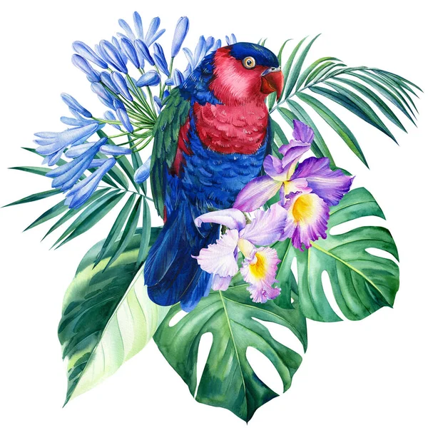 Akvarel ilustrace s papouškem, tropické listy, květiny. Izolováno na bílém pozadí — Stock fotografie