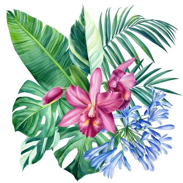 Ilustracja akwarela z Agapanthus, kwiaty storczyka, tropikalne liście. Izolacja na białym tle — Zdjęcie stockowe