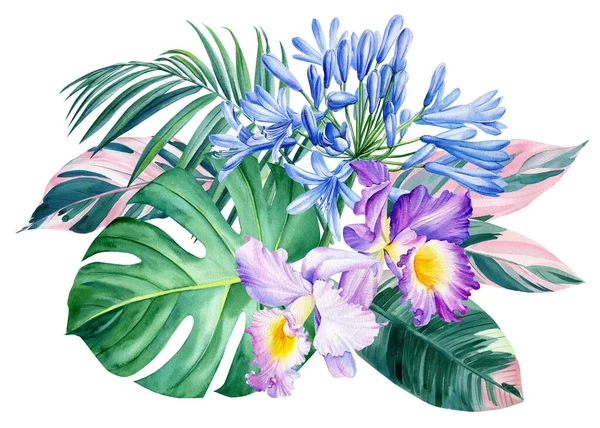Palm leaves, tropical flowers orchid, Agapanthus, lily of the nile, watercolor botanical illustration — Stock Photo, Image
