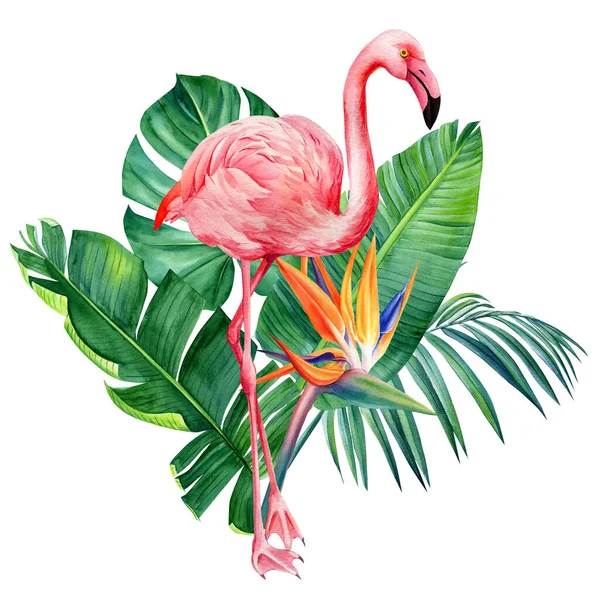 Plantas tropicales, Flamenco y hojas verdes sobre fondo blanco, acuarela ilustración, diseño de la selva — Foto de Stock