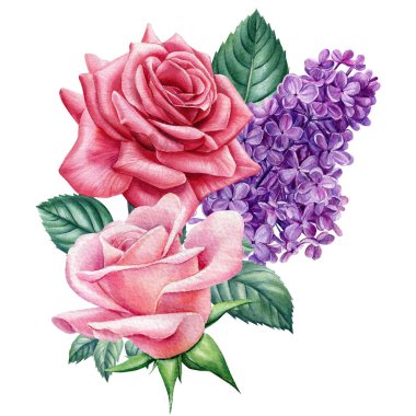 Şakayık, gül, leylak çiçekleri, beyaz arka planda tomurcuklar ve yapraklar, suluboya illüstrasyon, çiçek.