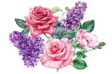 Bahar şakayığı, gül, leylak çiçekleri, beyaz arka planda tomurcuklar ve yapraklar suluboya resim, çiçek kompozisyonu