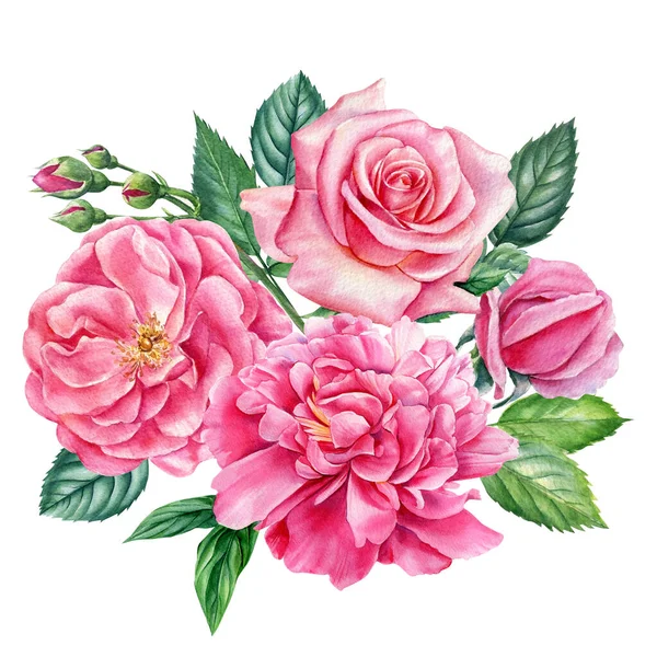 Akvarell illusztrációk rózsa és bazsarózsa virágok. Szüreti virág — Stock Fotó