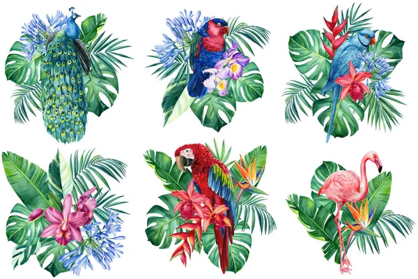 Set Watercolor illustration with birds peacock, parrot, tropical leaves, flowers. Isolated on white background — Stock Photo, Image