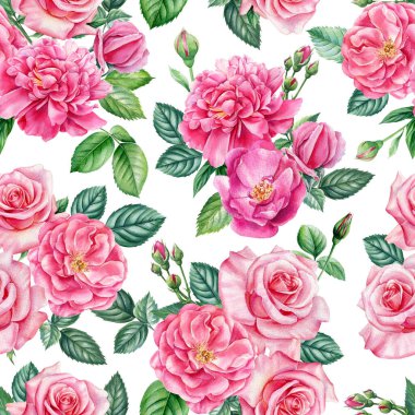 Yaprakları ve çiçekleri olan çiçeksiz desen güller, yaz suluboya resimleri, dijital resimler.