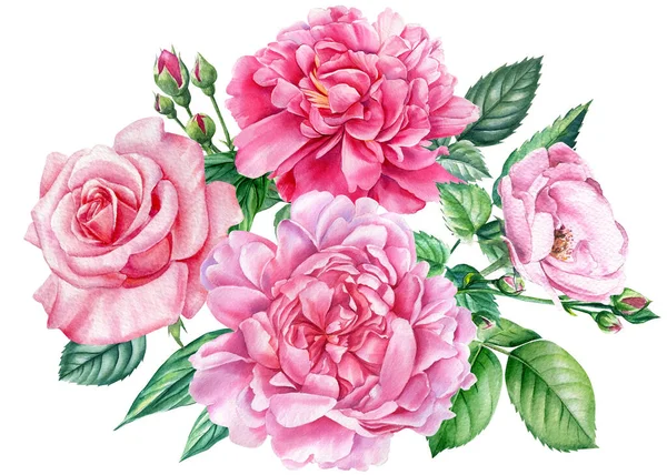 Fleurs roses. Pivoine, rose, bourgeons et feuilles sur fond blanc, illustration aquarelle, clipart floral — Photo