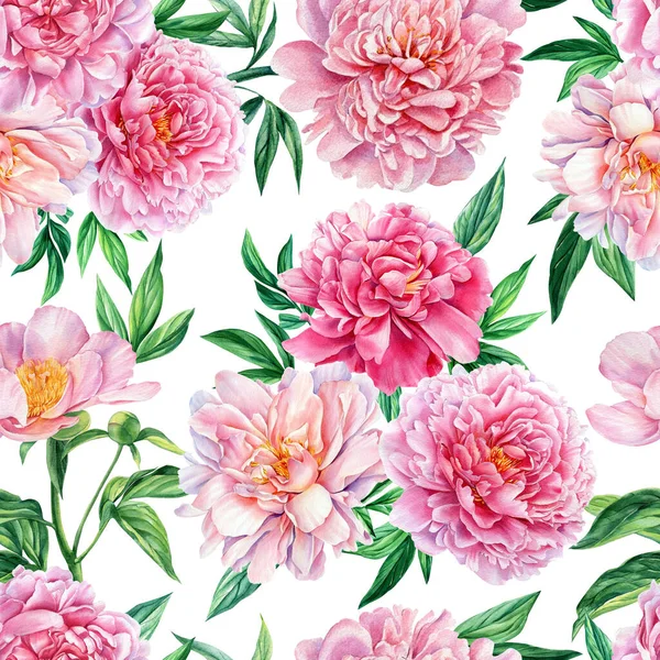 Acquerello modello senza soluzione di continuità fiori peonia, rosa. Design floreale — Foto Stock