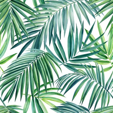 Beyaz arka planda palmiye yaprakları, suluboya botanik çizimler. Tropikal Kusursuz desen.