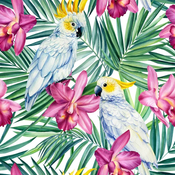 鹦鹉、热带花和落叶无缝隙图案。水彩画 — 图库照片
