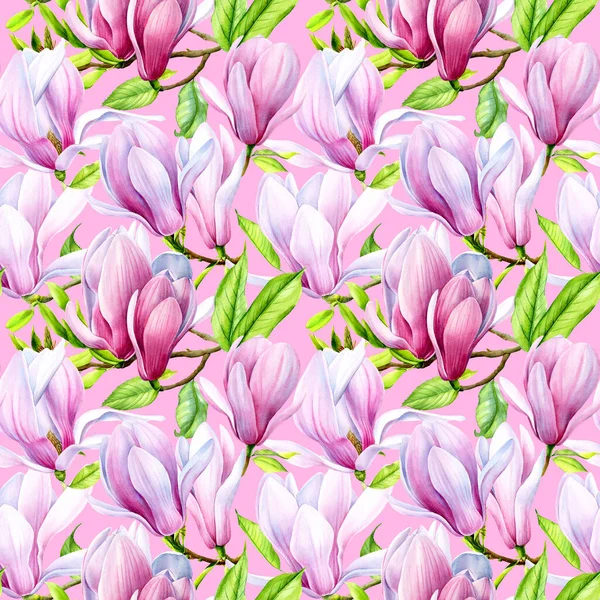 Manolya çiçekleri, suluboya flora, pürüzsüz desen, dijital kağıt