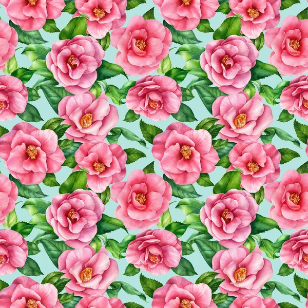 Υδατογραφία Camellia λουλούδια, απρόσκοπτη μοτίβο — Φωτογραφία Αρχείου