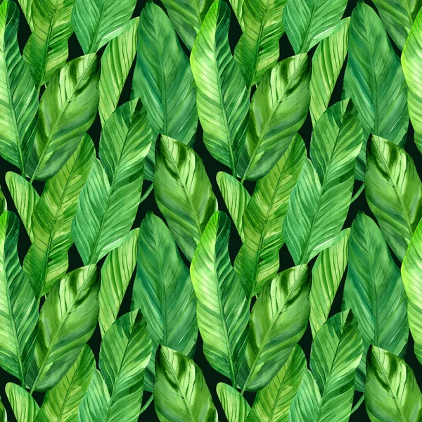 Ramas de patrón de acuarela con hojas tropicales y flores —  Fotos de Stock