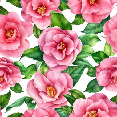 Suluboya kamelya çiçekleri, bahar çiçekleri, kusursuz desenler. pembe çiçek