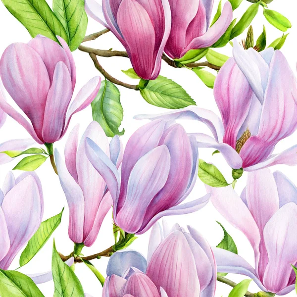 Акварель цветы Магнолия, бесшовный узор. Ветки с цветами розовый цветок магнолия весенняя карта. — стоковое фото