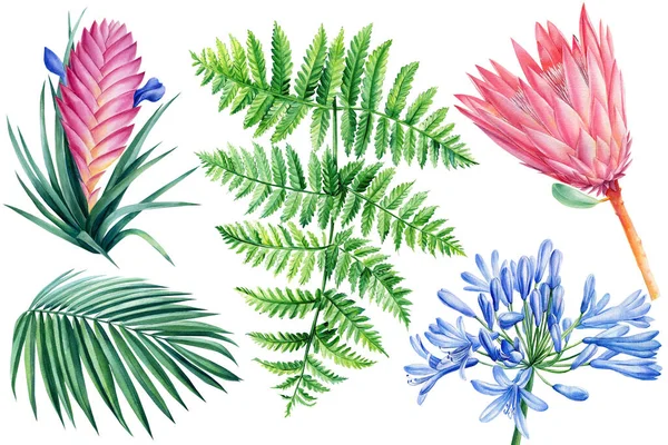 Зеленые листья и цветы, окрашенные вручную в акварель, ботаническую живопись — стоковое фото
