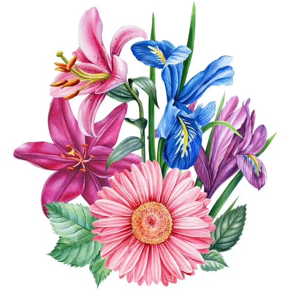 花束の花アイリス、ガーベラ、ユリ。水彩植物図、植物のデザイン — ストック写真