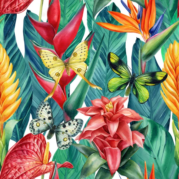 Padrão sem costura com flores tropicais guzmania, strelitzia, heliconia,, folhas e borboleta, pintura aquarela — Fotografia de Stock