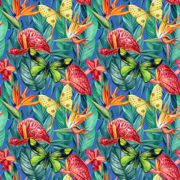 Sömlöst mönster med tropiska blommor anthurium, strelitzia reginae, blad och fjäril, akvarell målning — Stockfoto