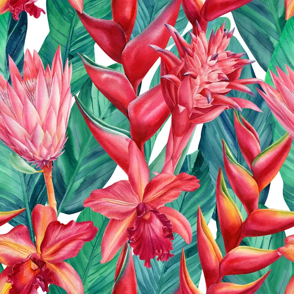 Tropikalne kwiaty heliconia, orchidea, protea i listowie, akwarela ilustracja. Egzotyczne kwiaty. Płynny wzór — Zdjęcie stockowe