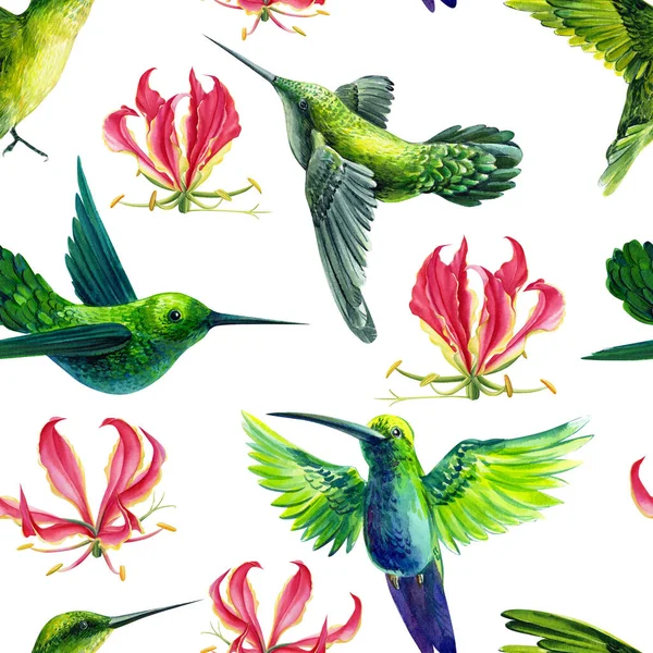 Aquarel kolibrie vogels en bloemen lelie. Naadloos patroon voor stof. Behang met de hand schilderen — Stockfoto