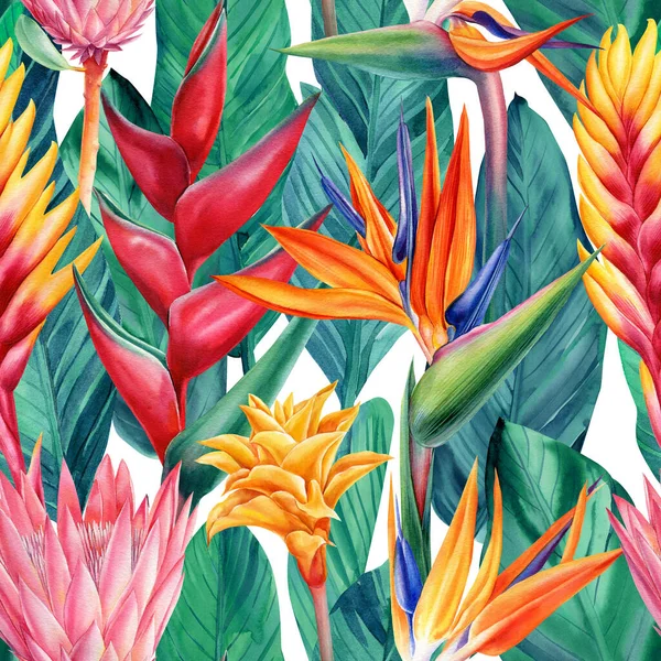Nahtloses Blumenmuster mit tropischen Blüten Bromelie, Strelitzie, Helikonien und Blättern, Aquarell-Illustration. — Stockfoto