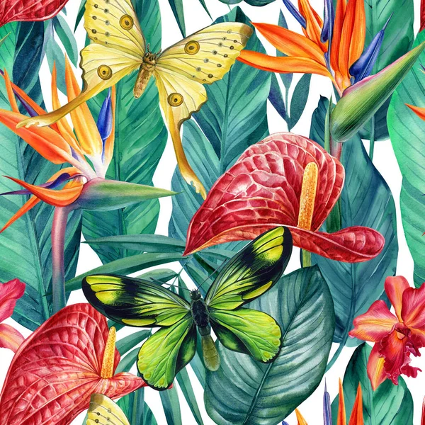 Aquarela flores tropicais anthurium, strelitzia, folhas de palma e borboleta. Padrão sem costura — Fotografia de Stock