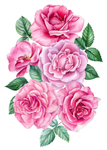 Flores cor de rosa, buquê de rosas, pintura aquarela sobre um fundo branco. design floral — Fotografia de Stock