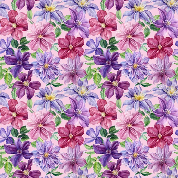 Lila blommor. Clematis akvarell, botanisk illustration, handritning målning, sömlöst mönster — Stockfoto