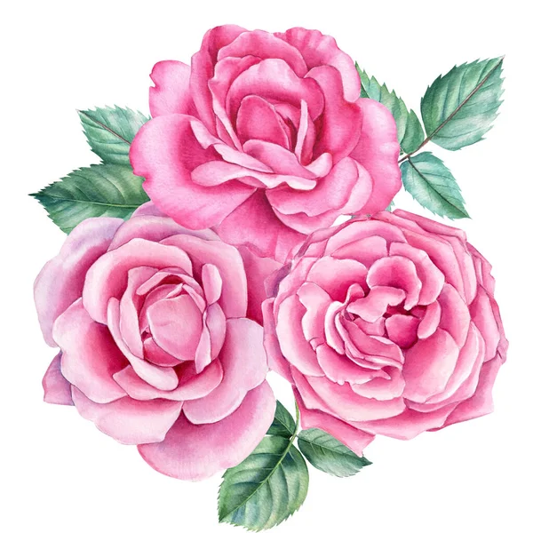 하얀 배경에 있는 분홍빛 꽃, 장미 꽃다발, 수채화 — 스톡 사진