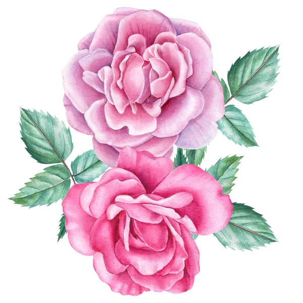 Kytice z růží, listí, akvarel botanické malby — Stock fotografie