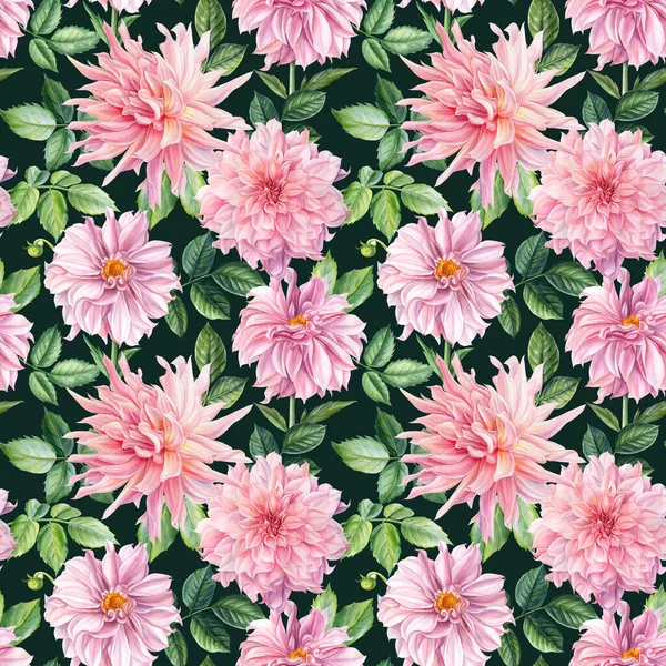 Delikata rosa blommor. Sömlöst mönster med dahlia. akvarell blommönster — Stockfoto