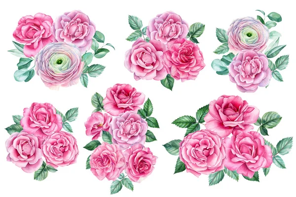 Peônias, ranúnculos e rosas. Conjunto de flores aquarela, ilustração botânica. clipart flor rosa — Fotografia de Stock