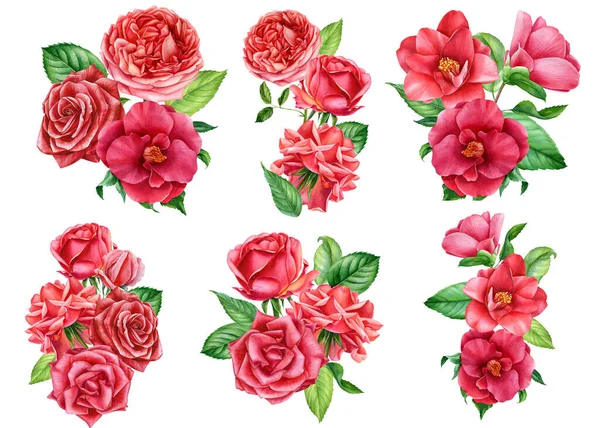 Σετ κόκκινο τριαντάφυλλο και καμέλιες όμορφο λουλούδι σε ένα απομονωμένο λευκό φόντο, ακουαρέλα βοτανική ζωγραφική, floral design — Φωτογραφία Αρχείου
