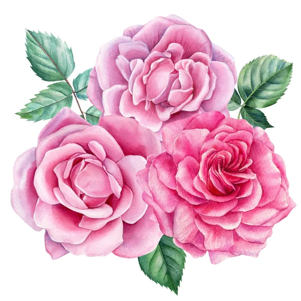 Buquê floral de rosas, pintura aquarela sobre um fundo branco — Fotografia de Stock