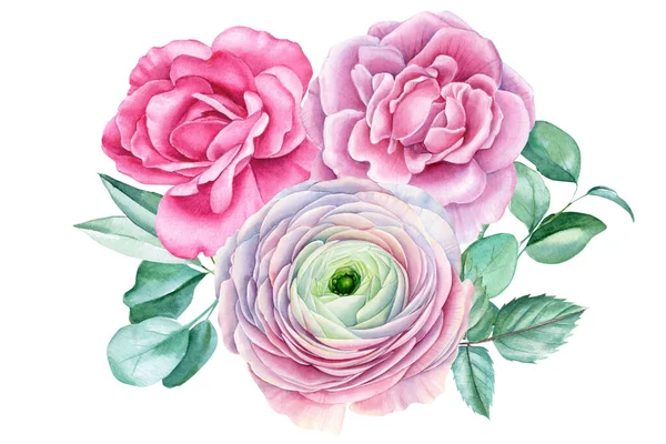 Bouquet from roses, ranunculus and eucalyptus leaves, watercolor botanical painting — Stock Photo, Image