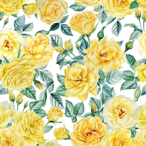 Narin çiçekler. Sarı güller, tomurcuklar ve yapraklar, çiçekli arka plan, suluboya kusursuz desen — Stok fotoğraf