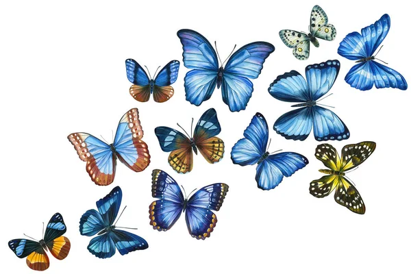 Svärm av tropiska fjärilar på isolerad vit bakgrund, akvarell målning — Stockfoto