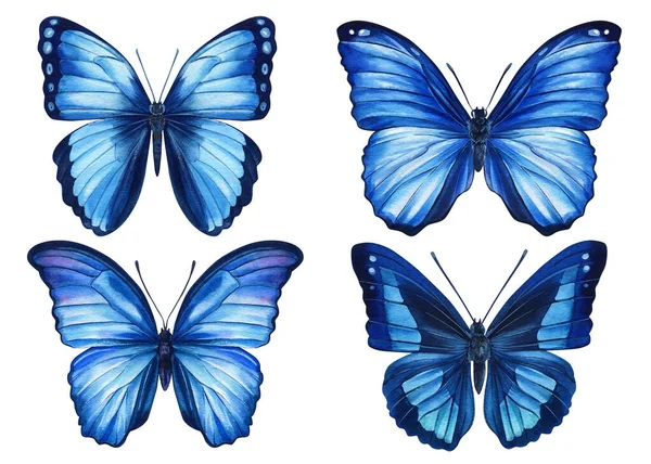 Υδατογραφία πολύχρωμες πεταλούδες που απομονώνονται σε λευκό φόντο. Άνοιξη μπλε πεταλούδα εικόνα. — Φωτογραφία Αρχείου