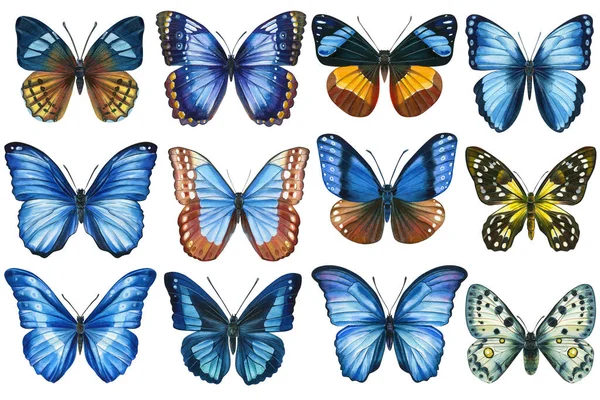 Колекція Акварельні барвисті метелики ізольовані на білому тлі. Весняна синя ілюстрація метелика . — стокове фото
