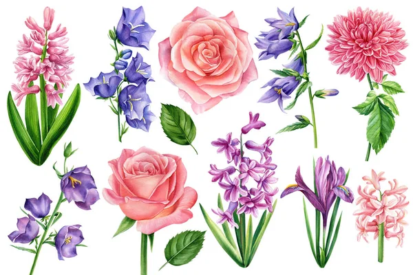 BlueBell, rose, iris, giacinto e fiori di dalia insieme. Pittura disegnata a mano ad acquerello — Foto Stock