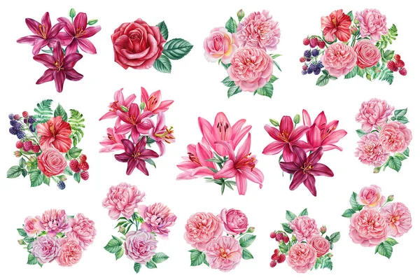 Τριαντάφυλλα και κρίνα, σετ λουλουδιών για το σχεδιασμό, εκτύπωση ή ύφασμα, ακουαρέλα εικονογράφηση — Φωτογραφία Αρχείου