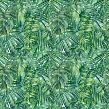 Kusursuz tropikal palmiye yaprakları, orman arka planı, suluboya resim.