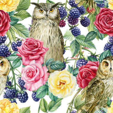 Kusursuz desen, böğürtlen dalları, güller çiçekler ve kuşlar baykuş, suluboya botanik illüstrasyon