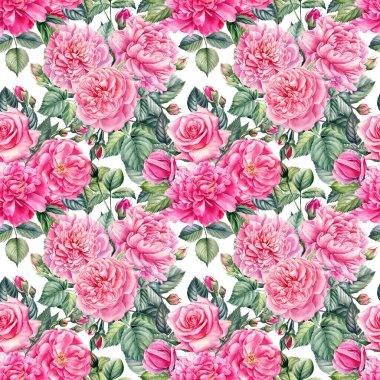 Kusursuz gül deseni, şakayık ve yapraklar izole bir arka planda. Suluboya çiçekleri