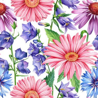 Vahşi çiçekler suluboya. Cornflower, Gerbera, echinacea ve BlueBell, çiçek tasarımı, kusursuz desen