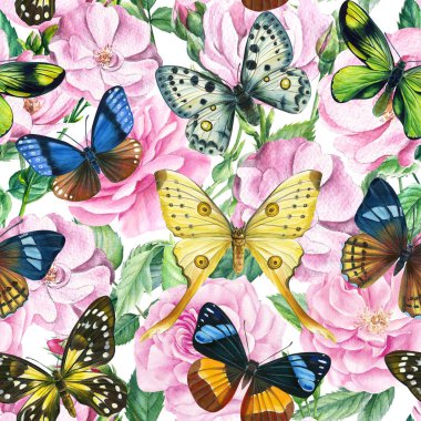 Gül ve kelebek desenleri. Soyut arkaplan. Çiçeksiz suluboya desenler, yaz