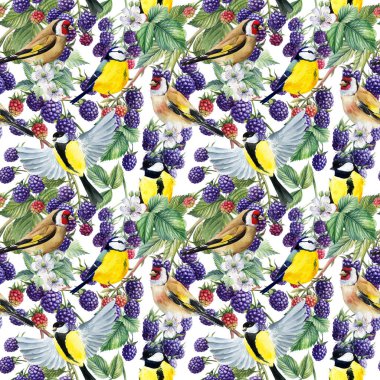 Seamless pattern, branches of blackberries and birds tit, watercolor botanical illustration
